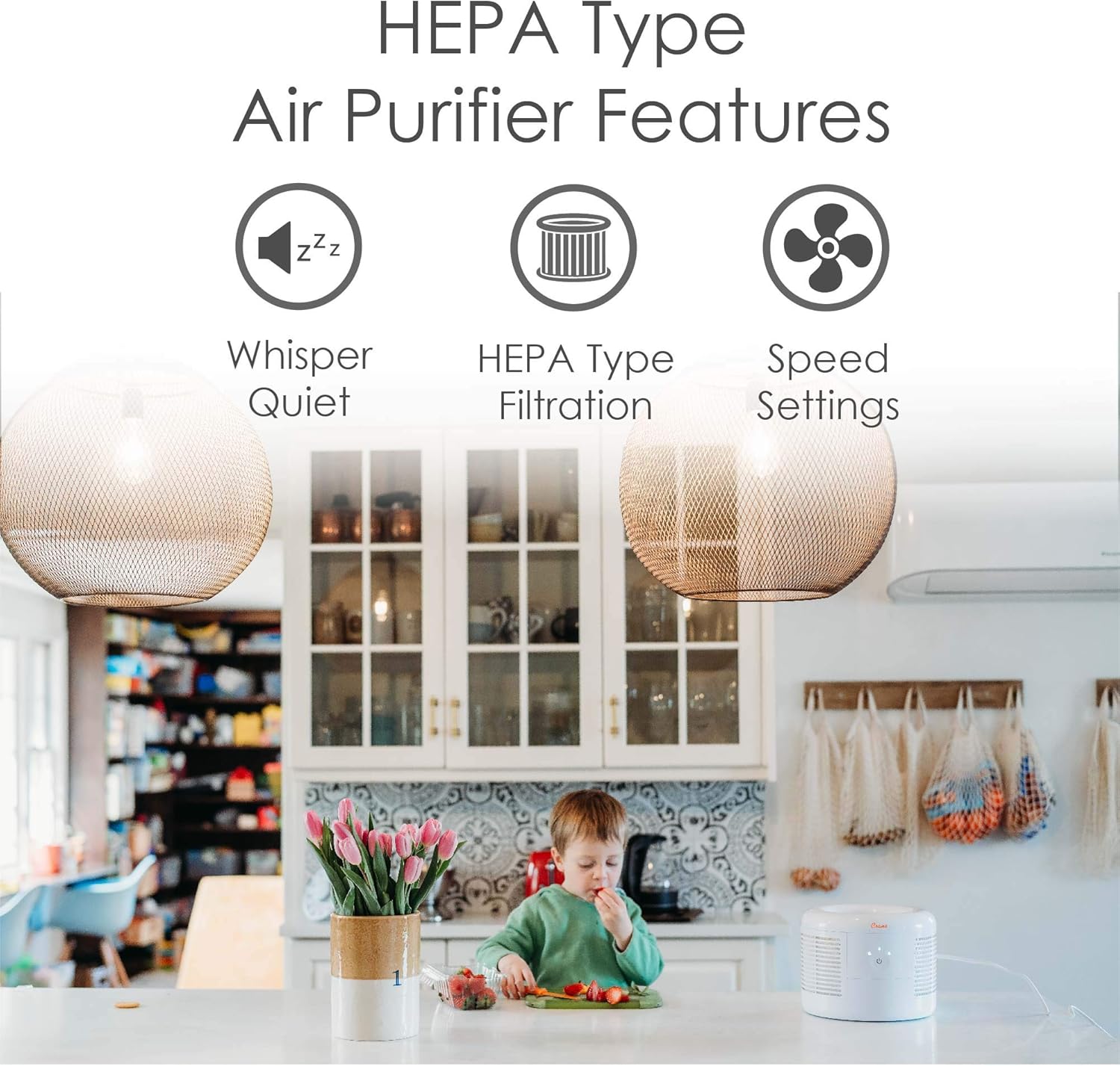 HEPA Air Purifier for Home, Qu - Baby Nursery Air Purifier บทวิจารณ์และราคา